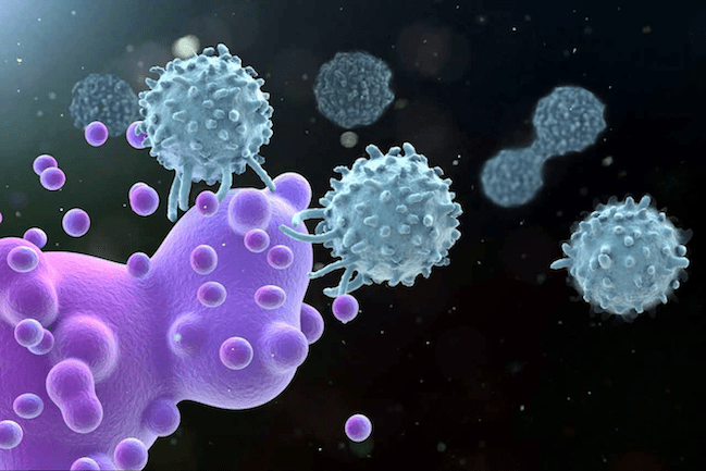 cancer cell 
